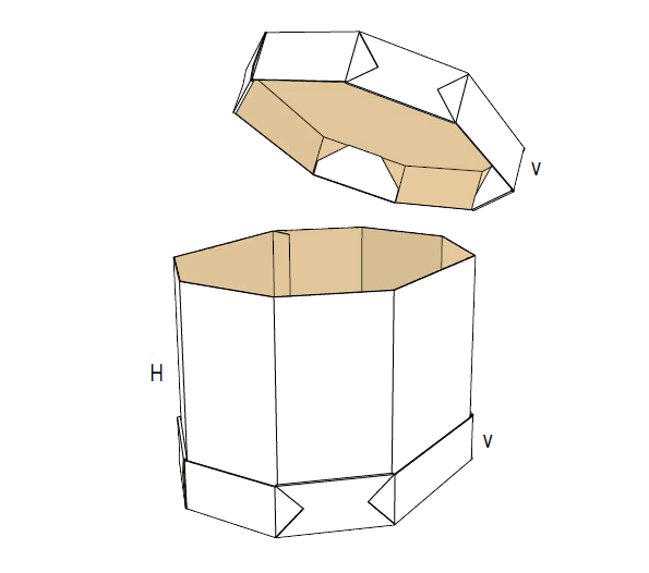 Cajas de cartón con distintas Formas