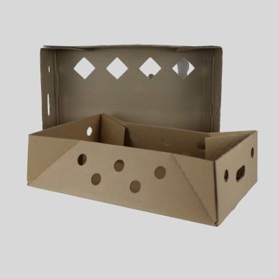 Cajas de cartón para jardinería