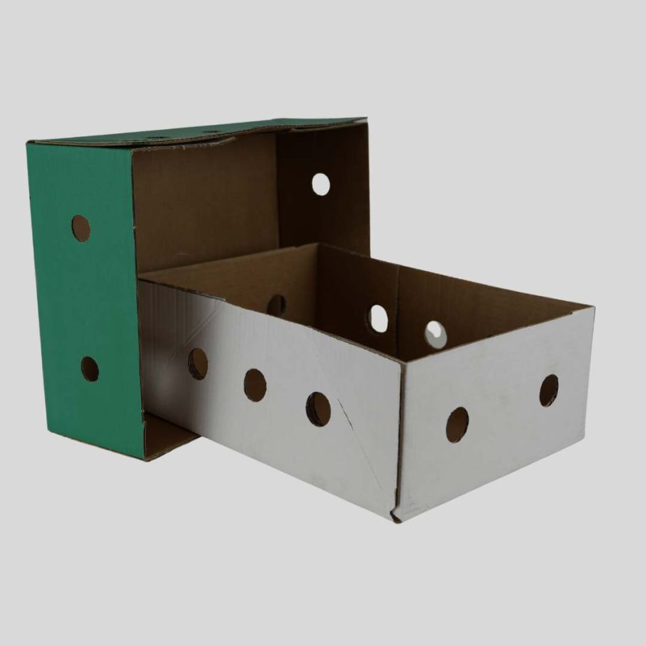 Cajas de cartón para jardinería de fábrica Femasa